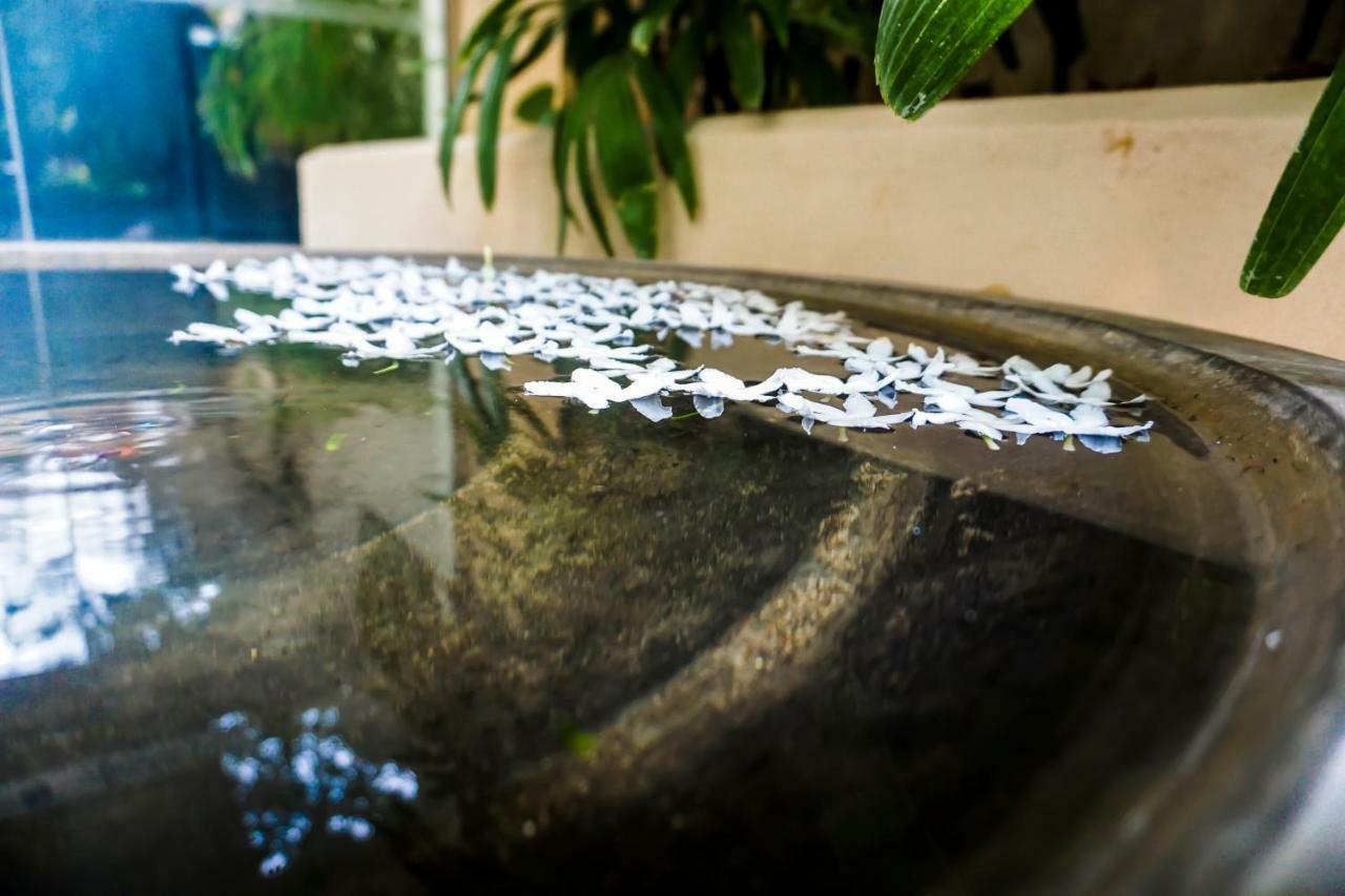 Lavendish Okrin Hotel Kataragama Εξωτερικό φωτογραφία